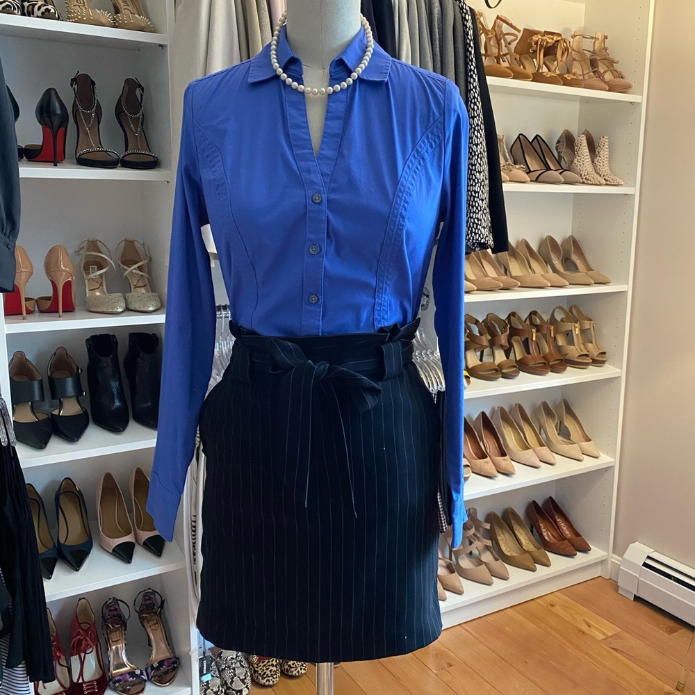 Express Pinstriped Skirt